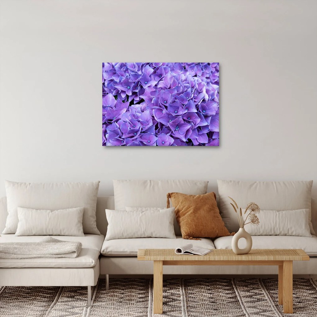 Tablou cu flori violete (70x50 cm)