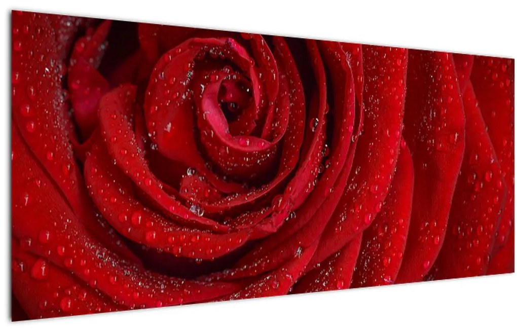 Tablou - detaliu de trandafir (120x50 cm)