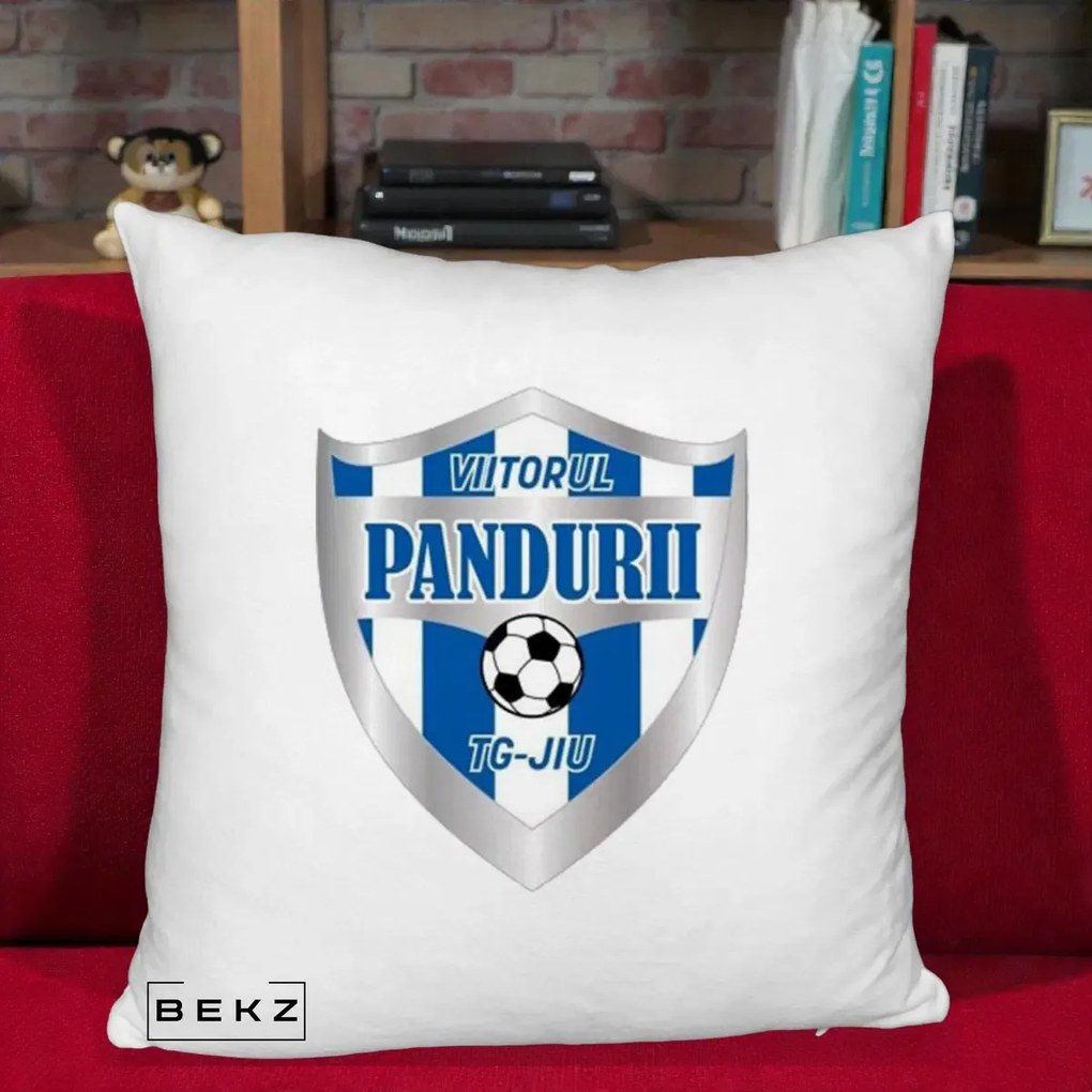 Perna Personalizata Pandurii Targu Jiu Fotbal, 40x40 cm, Alb Pufos, Husa Detasabila, Perna Inclusa, BEKZ®
