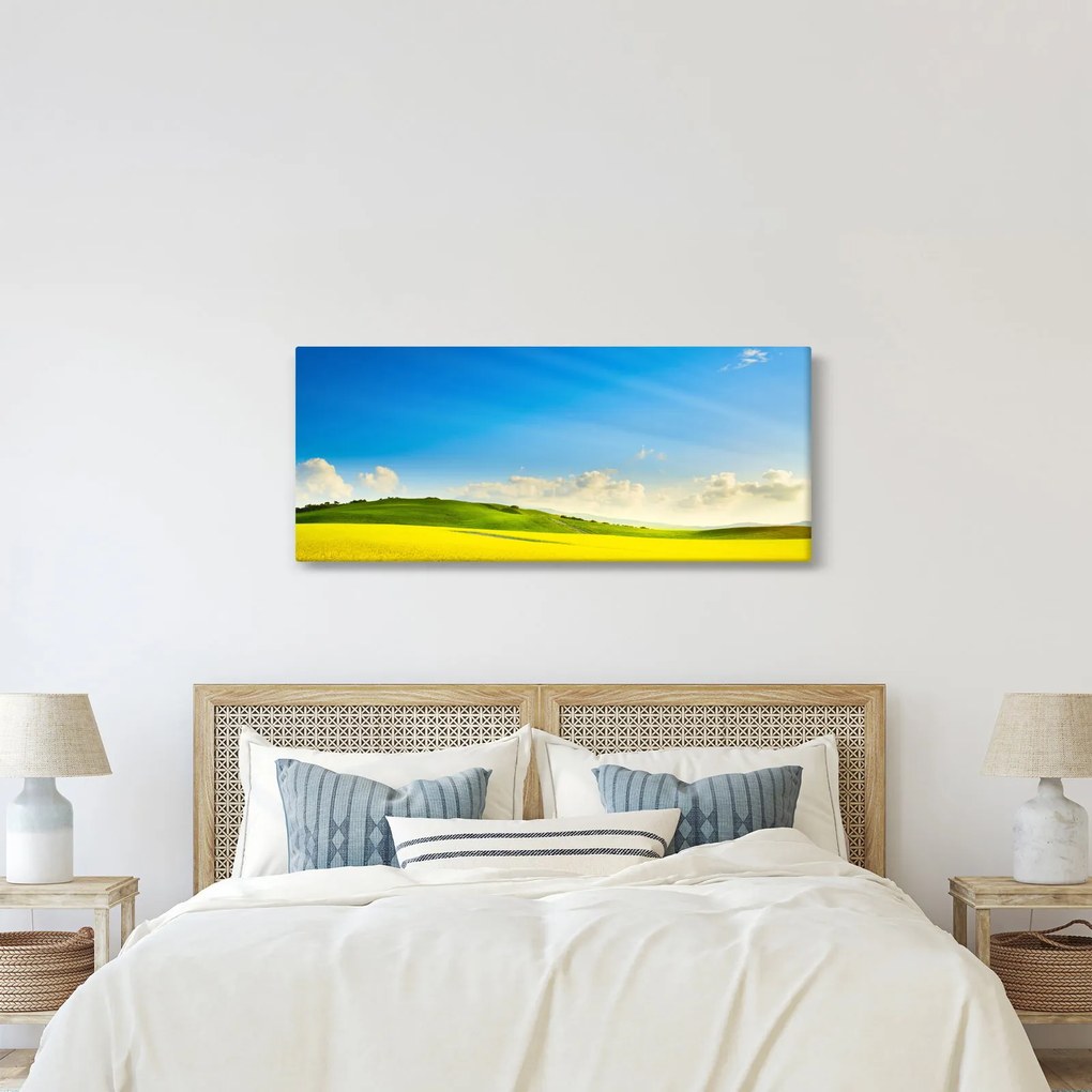 Tablou - Cerul de primăvară (120x50 cm)