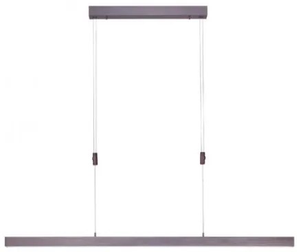 Lustră LED dimabilă pe cablu Paul Neuhaus 2568-24 ADRIANA LED/14W/230V