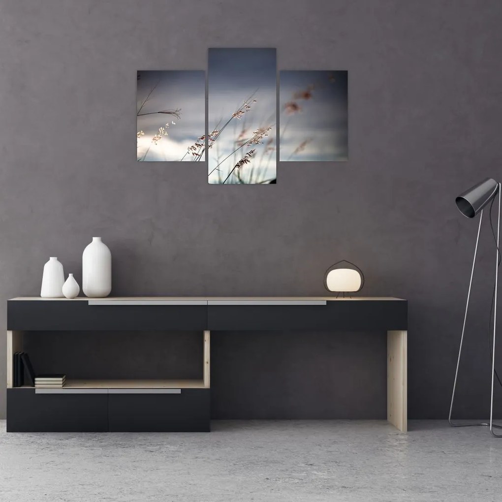 Tablou -Flori de luncă (90x60 cm)