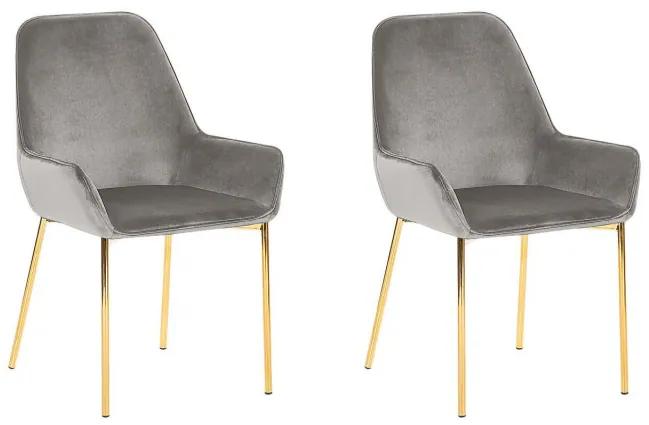 Set de 2 scaune LOVERNA, gri/aurii, 59 x 59 x 89 cm