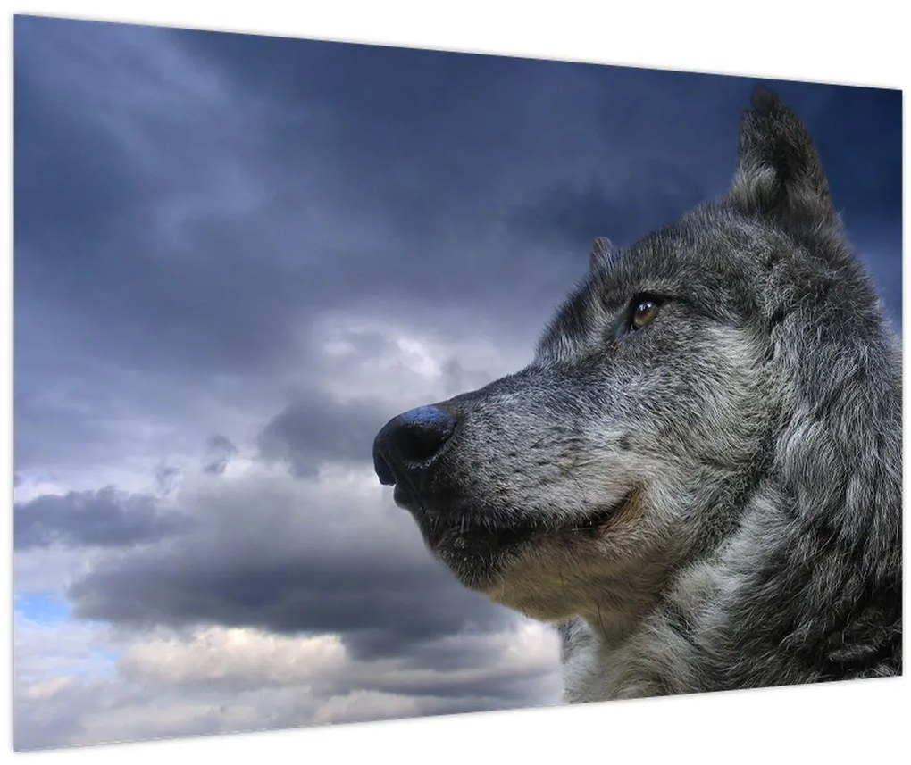 Tablou - Cap de lup (90x60 cm)