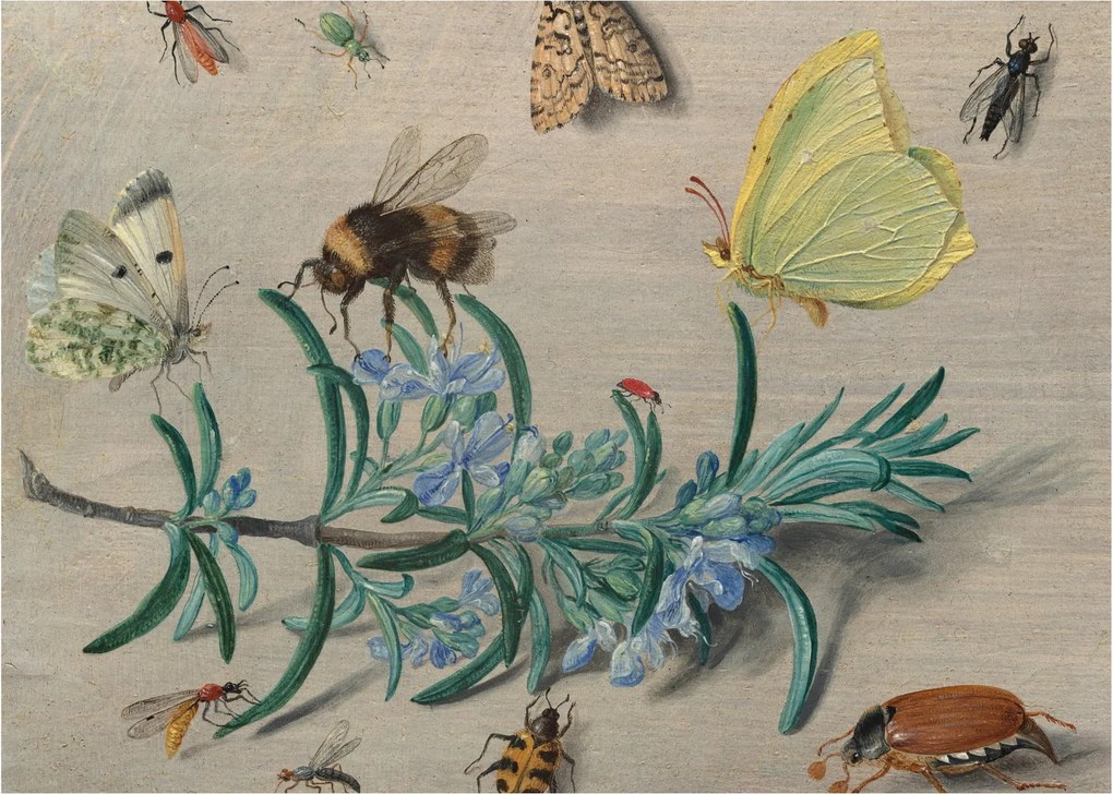 Tablou pe sticlă - Jan van Kessel the Elder, Insects and a Sprig of Rosemary, reproducere (70x50 cm)