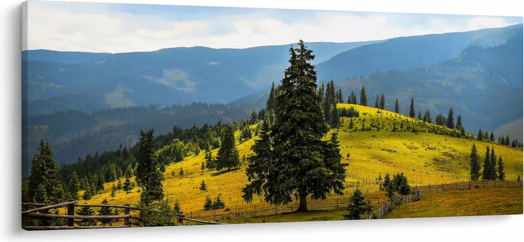 Tablou - Lunca de munte (120x50 cm)