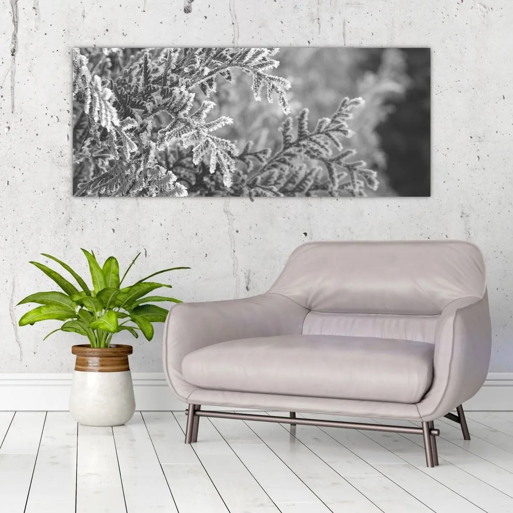 Tablou - Pădure de molid (120x50 cm)