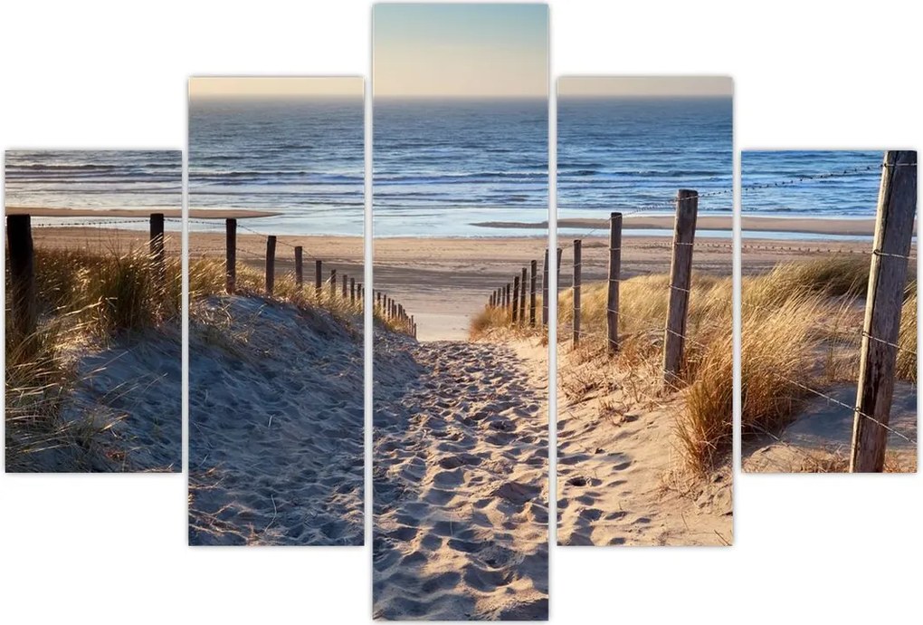 Tablou - Drum spre plaja din Marea Nordului, Țările de Jos (150x105 cm)