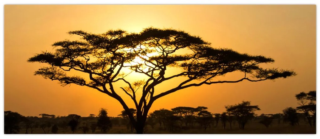 Tablou - Savana africană (120x50 cm)