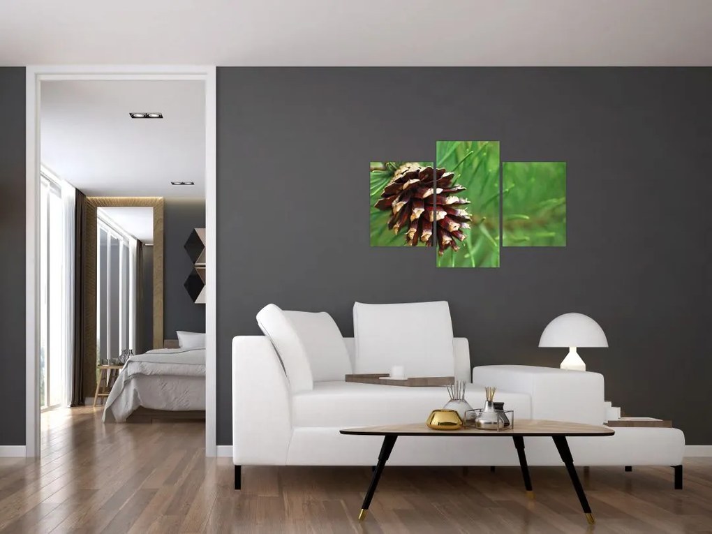 Tablou cu con (90x60 cm)