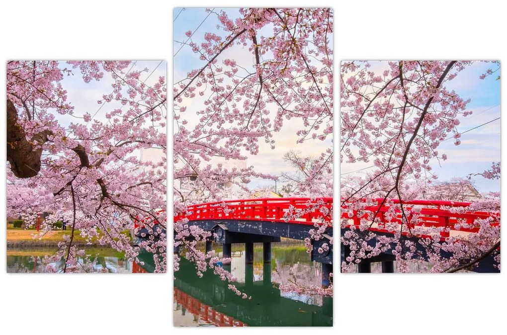 Tablou - Hirosaki, Japonia (90x60 cm)