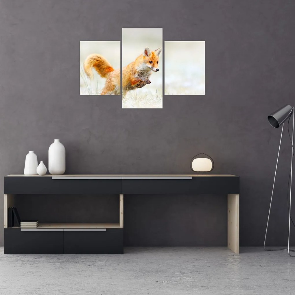 Tablou - Vulpe care sare (90x60 cm)