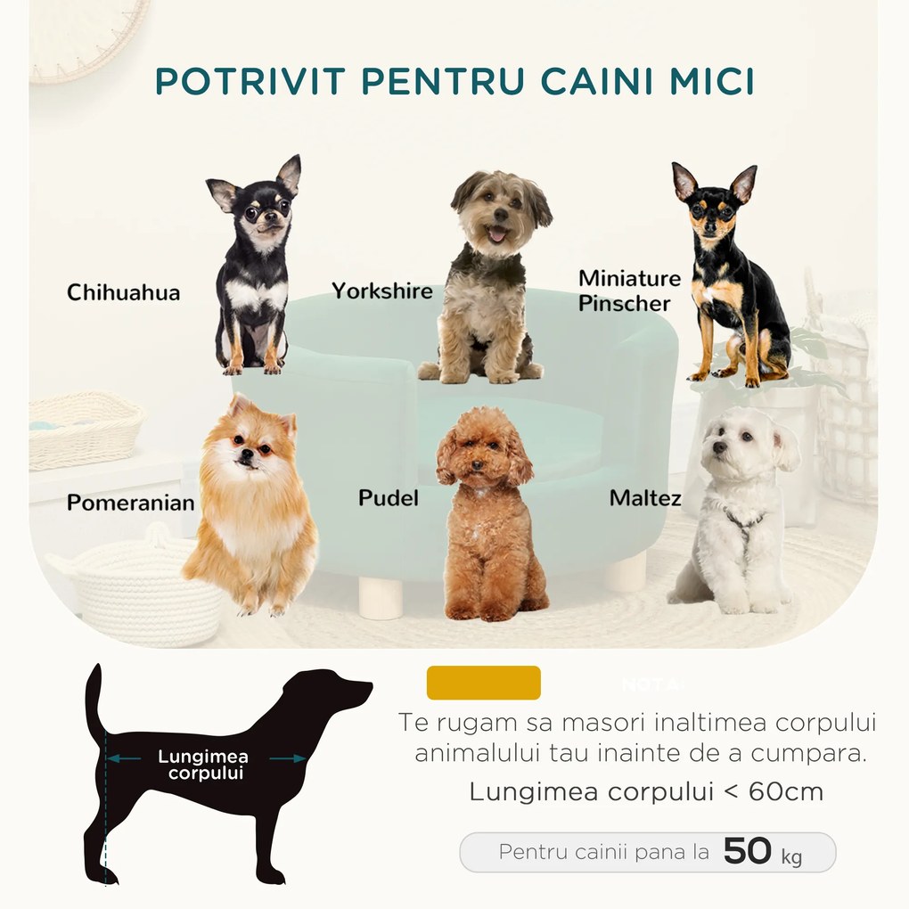 PawHut Canapea Verde Luxoasă pentru Câini, cu Spătar și Pernă Detașabilă, 65x64x37 cm | Aosom Romania