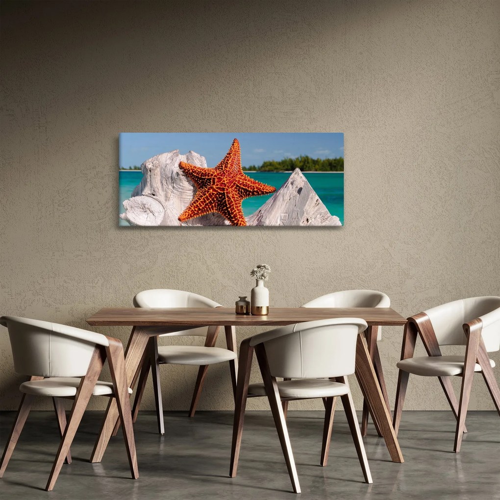 Tablou cu stea de mare (120x50 cm)