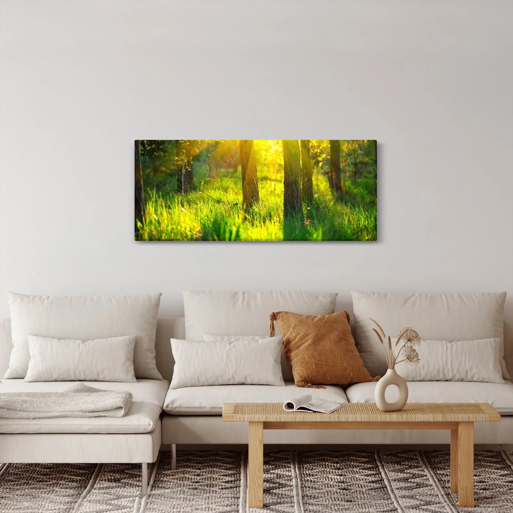 Tablou - Trezirea de primăvară a pădurii (120x50 cm)
