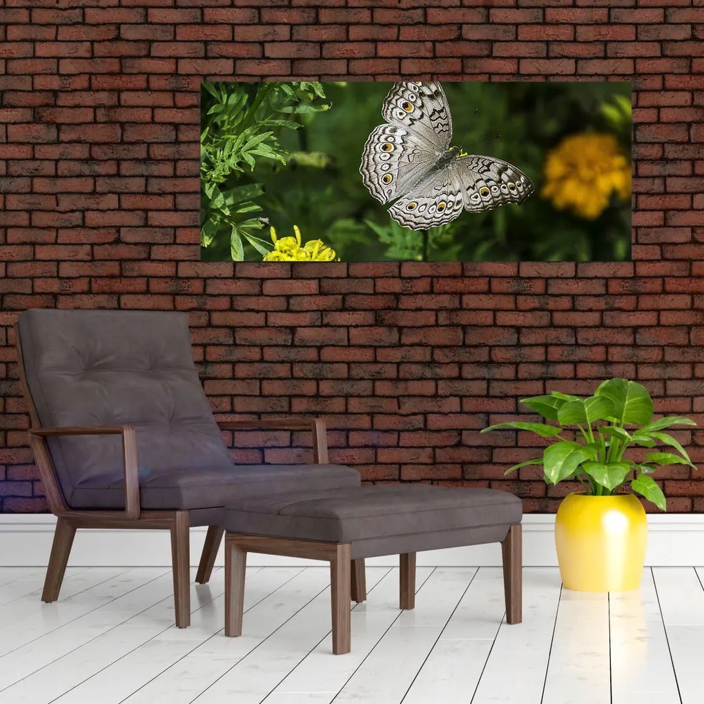 Tablou - fluture alb (120x50 cm)