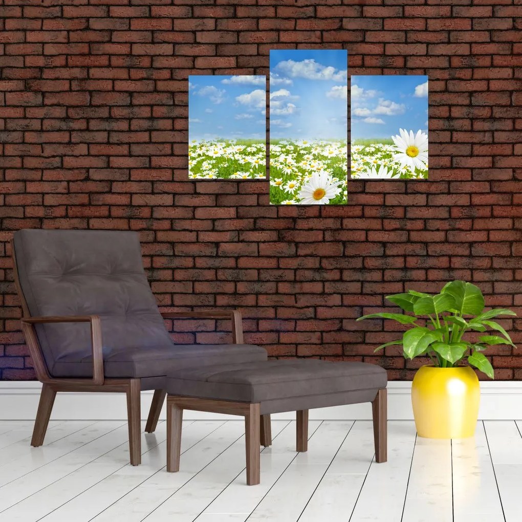 Tablou cu luncă înflorită cu margarete (90x60 cm)