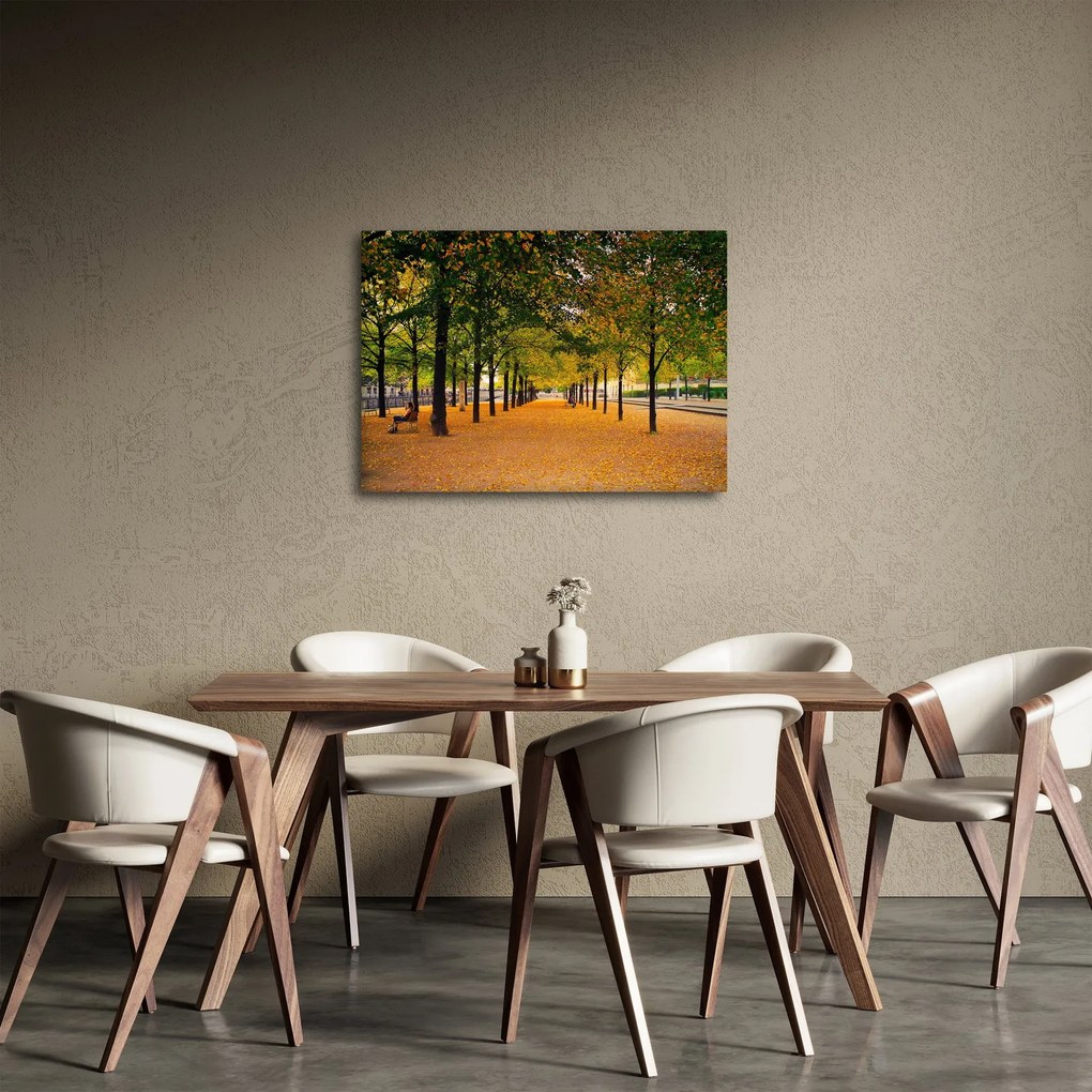 Tablou cu alee cu copaci în toamnă (70x50 cm)