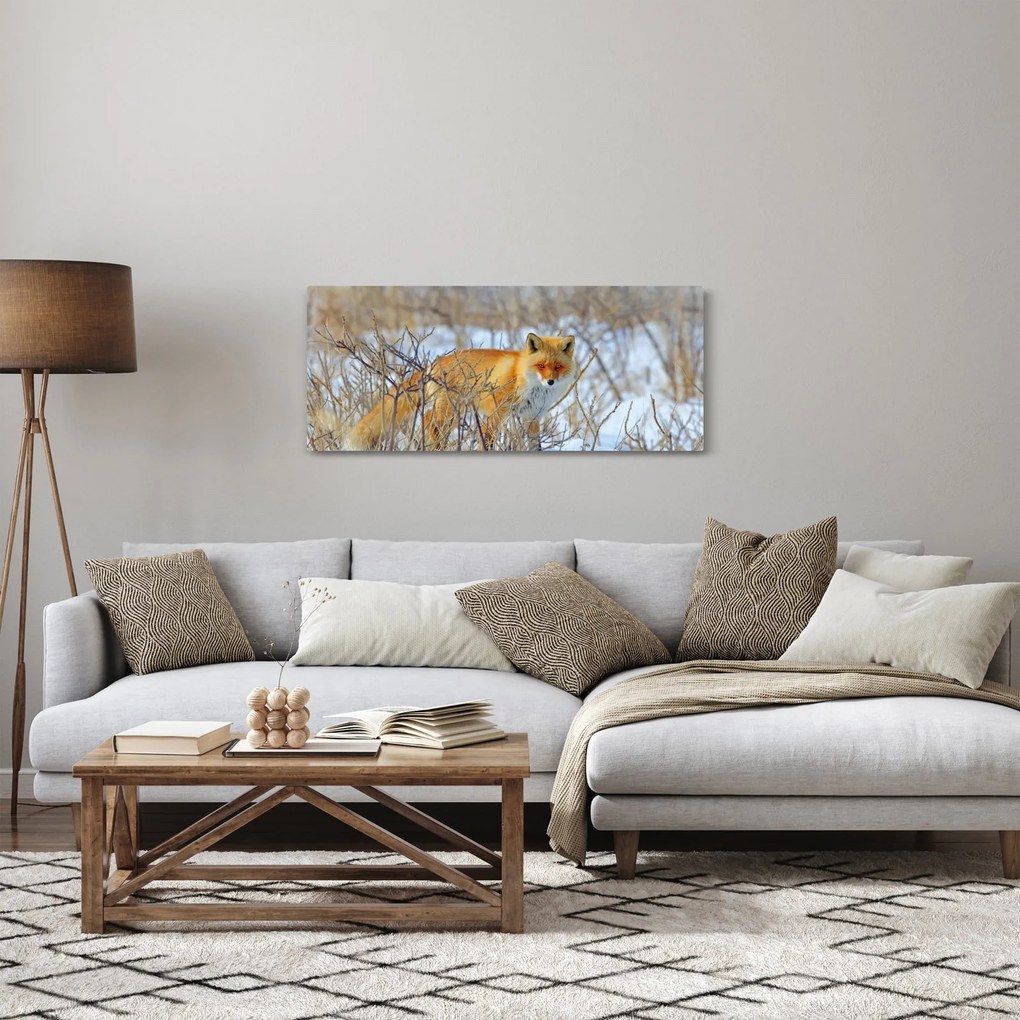Tablou - Vulpe (120x50 cm)