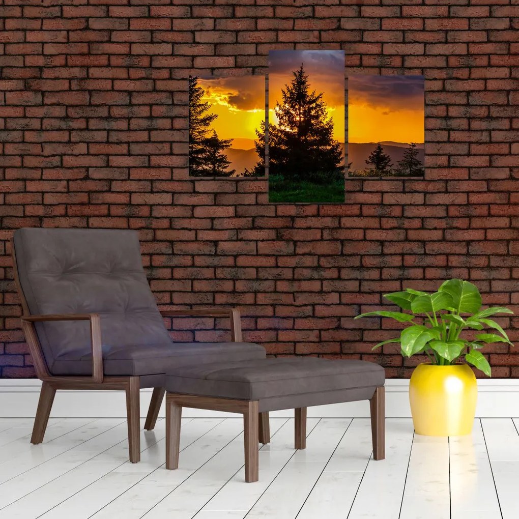 Tablou - coniferi (90x60 cm)
