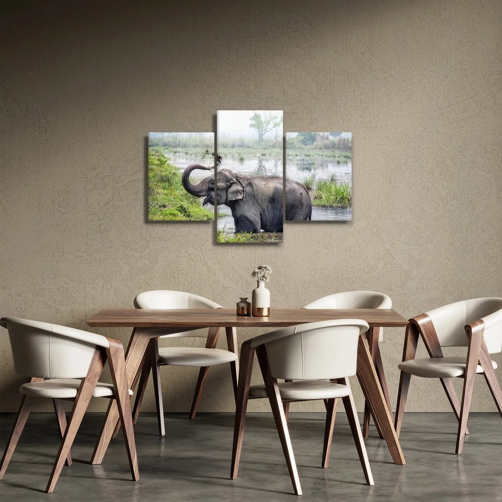Tablou - Elefant de scăldat (90x60 cm)