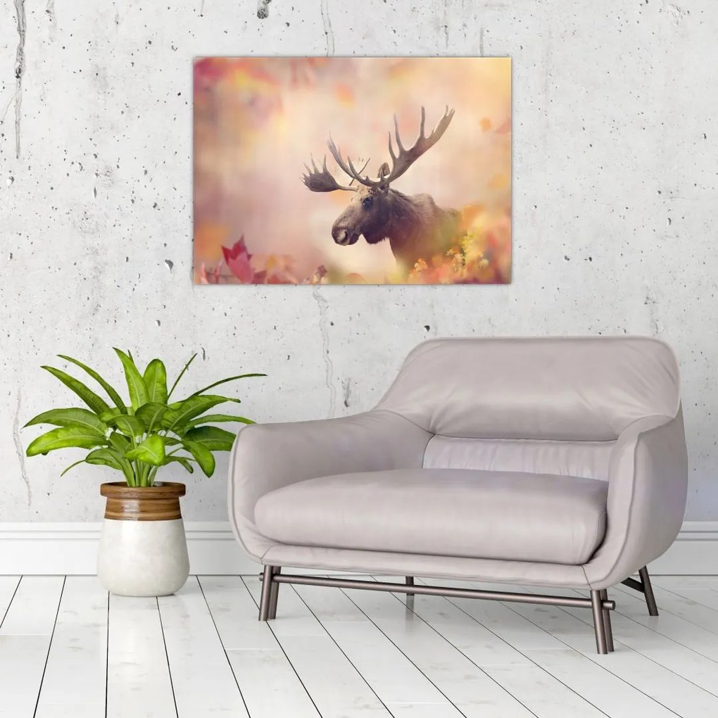 Tablou pe sticlă - Pădure în frunze de toamnă (70x50 cm)