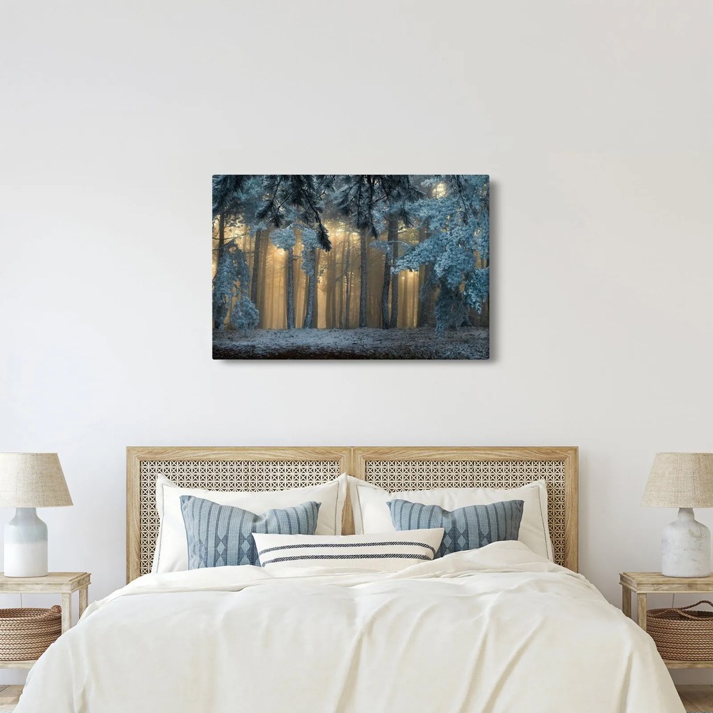 Tablou cu pădure înzăpezită (90x60 cm)