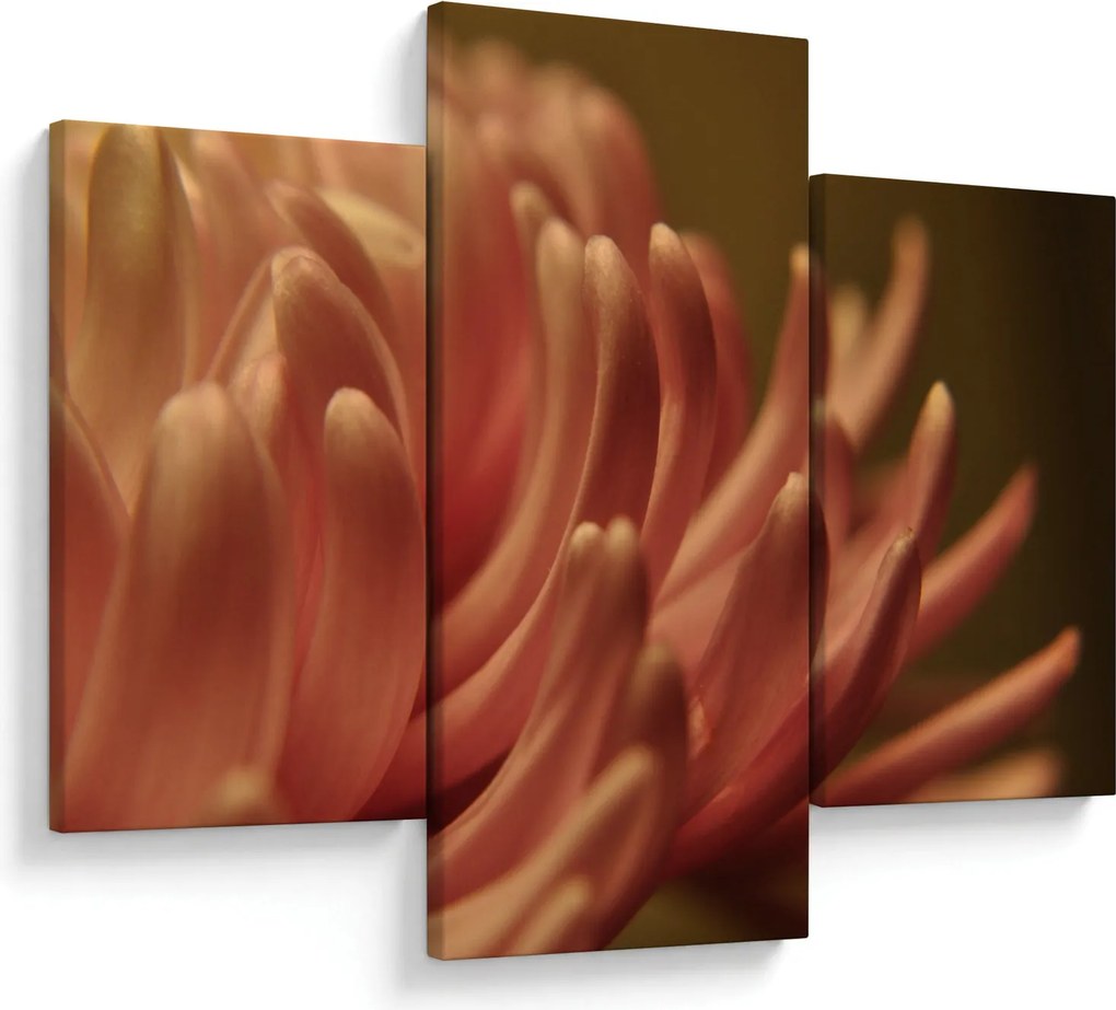 Tablou cu detailu florii (90x60 cm)