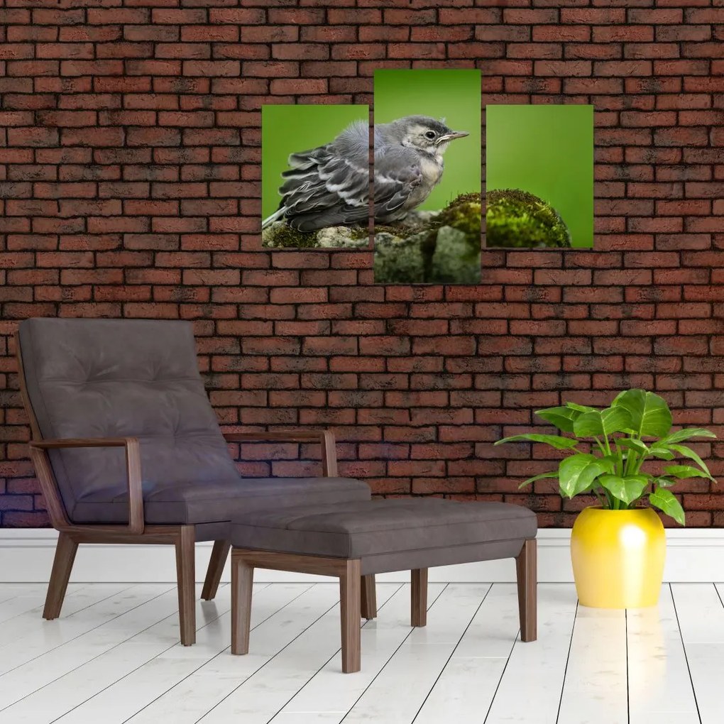 Tablou - Muscarul (90x60 cm)