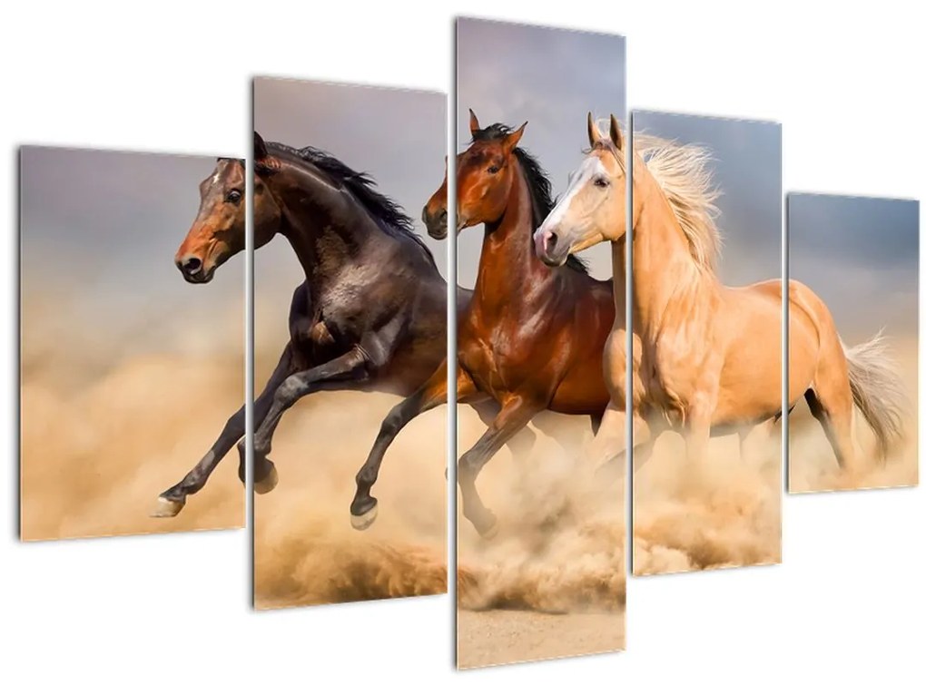 Tablou - Cai sălbatici (150x105 cm)