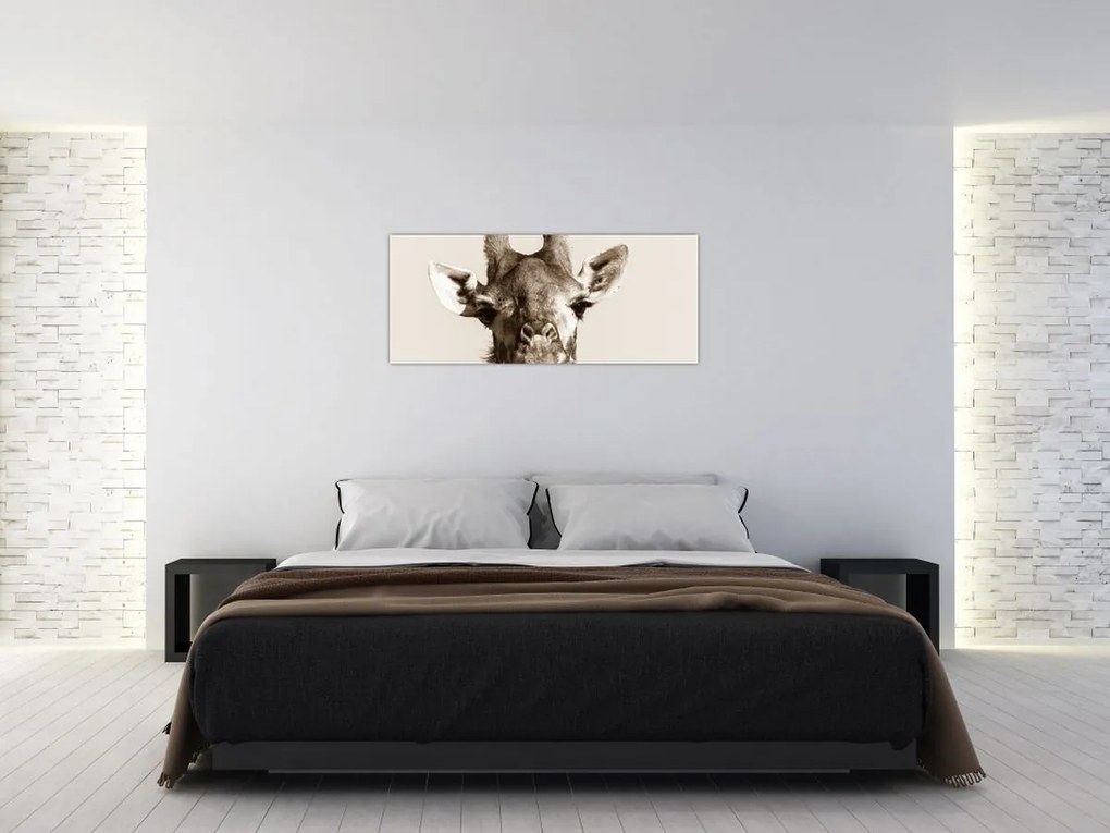 Tablou - Portret de girafă, de epocă (120x50 cm)