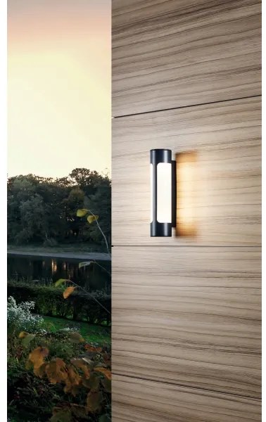 Eglo 97119 - LED aplică perete exterior TONEGO 2xLED/6W/230V