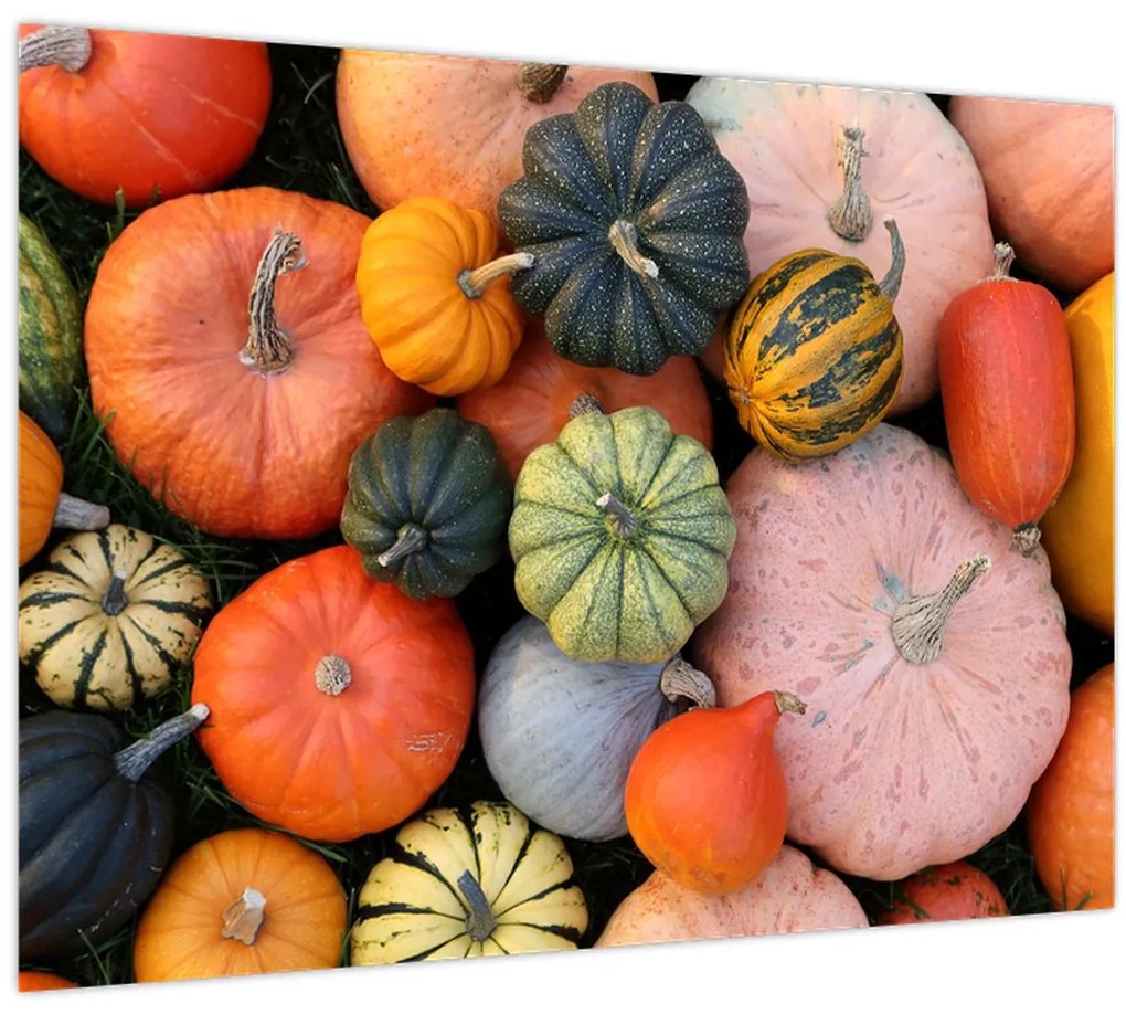 Tablou - Dovleac (70x50 cm)