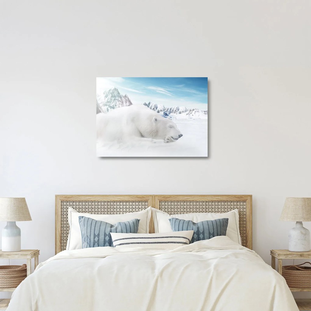 Tablou pe sticlă - Urs polar (70x50 cm)