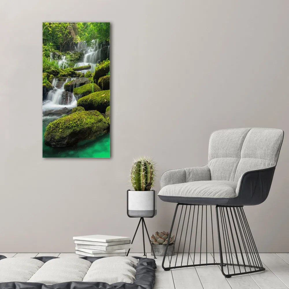 Imagine de sticlă Cascada din junglă