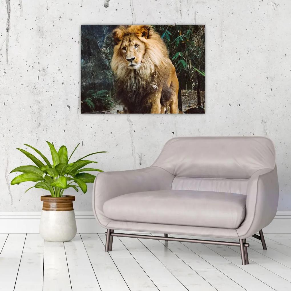 Tablou cu leu în natură (70x50 cm), în 40 de alte dimensiuni noi