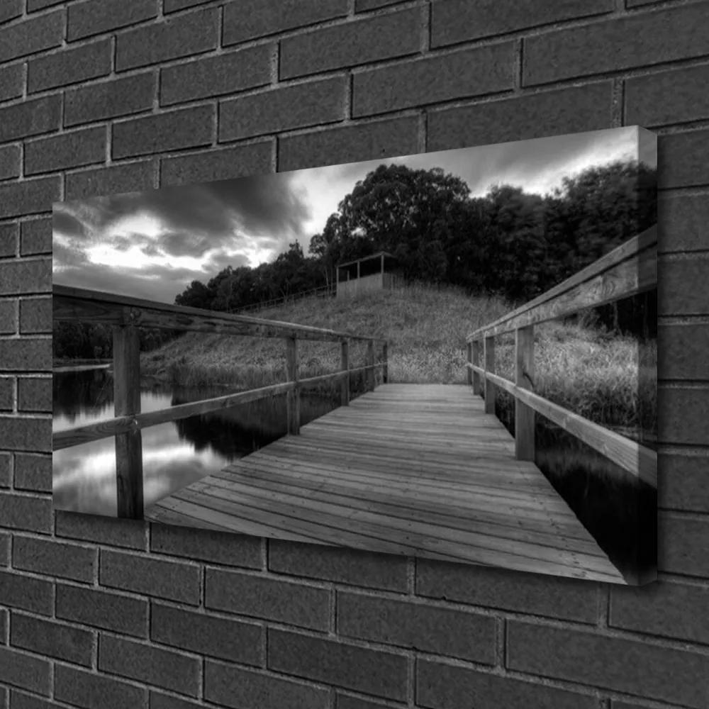 Tablou pe panza canvas Podul Lacul Arhitectura Gray