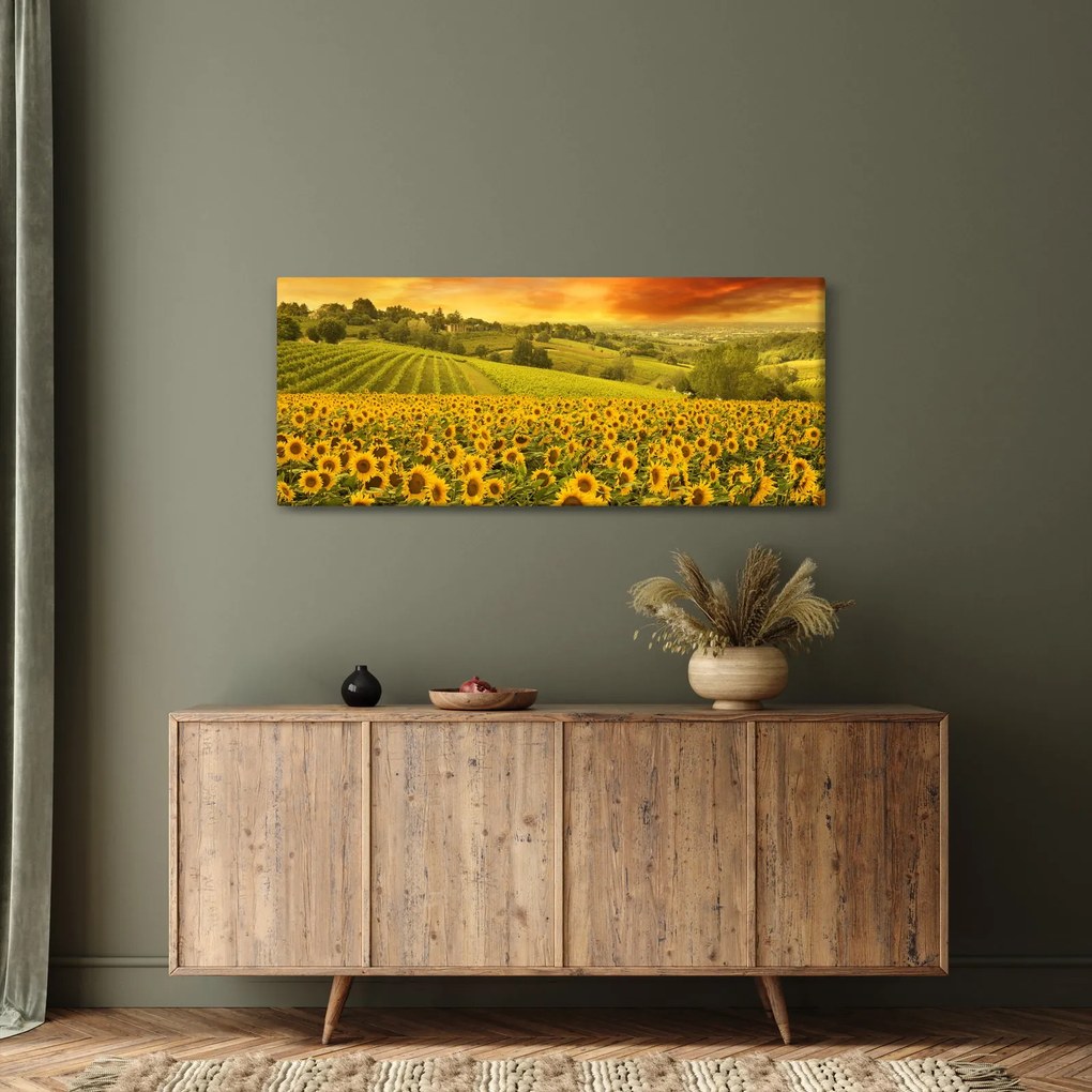 Tablou - Câmp de floarea-soarelui (120x50 cm)