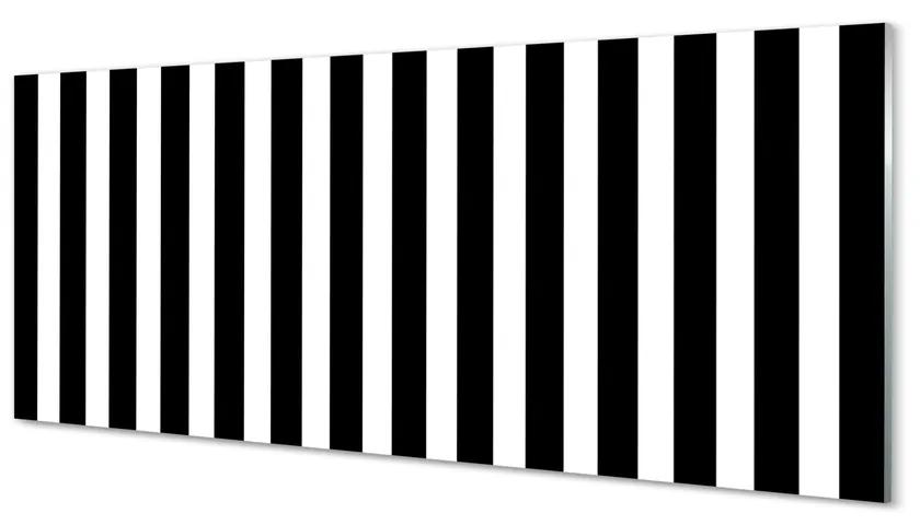 Tablouri acrilice dungi zebră geometrice