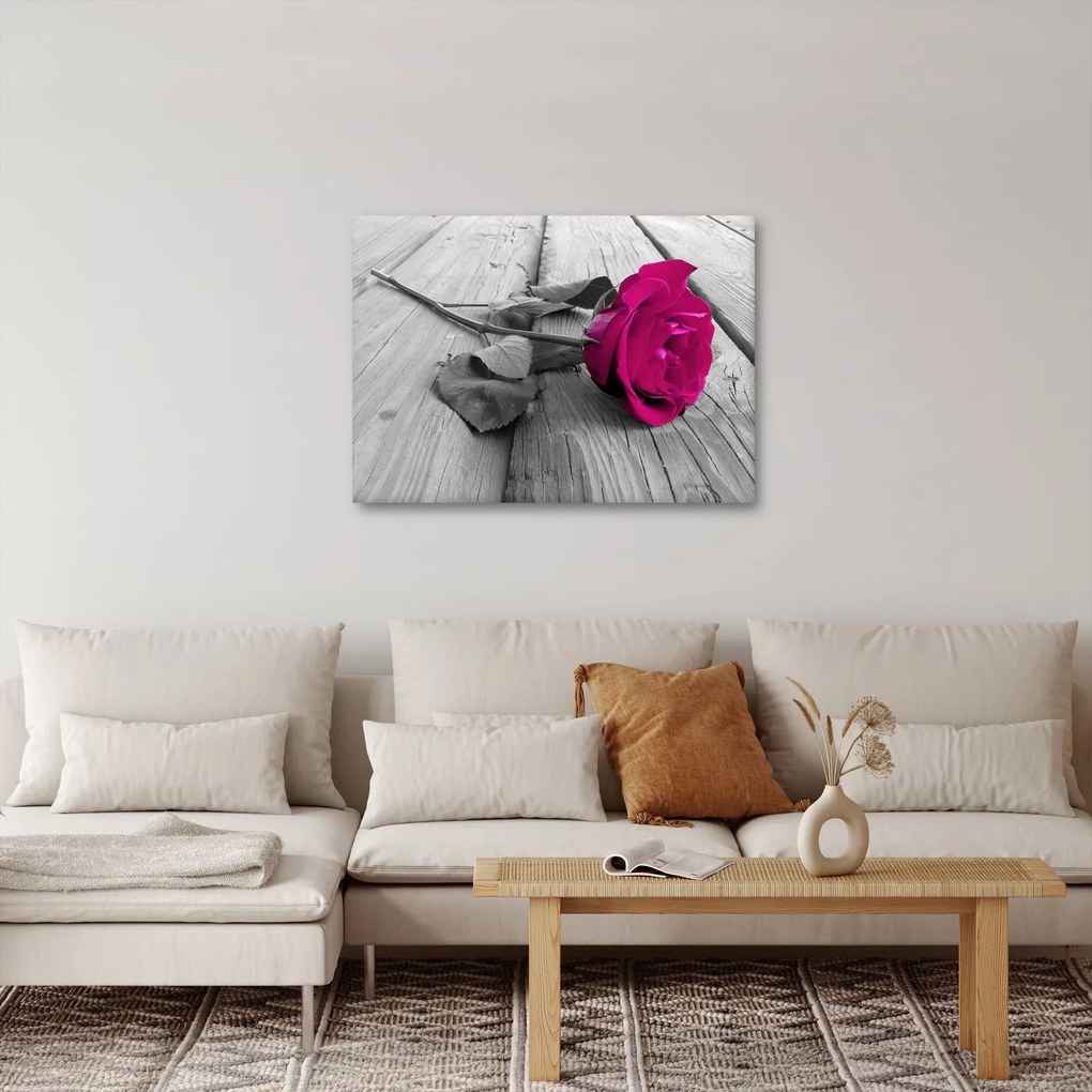 Tablou - Trandafir roz (70x50 cm)