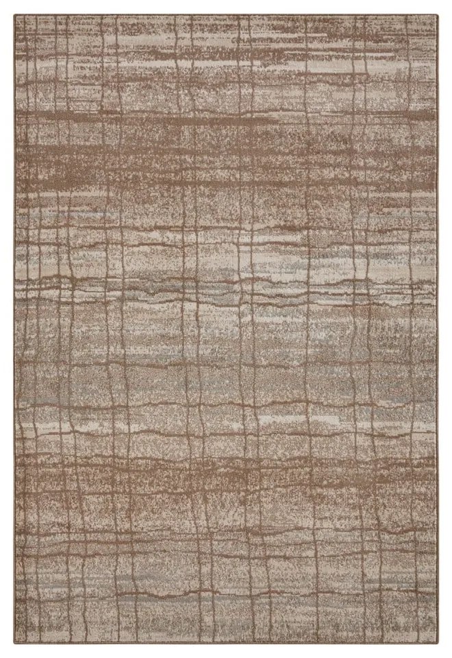 Covor maro/bej 120x80 cm Terrain - Hanse Home