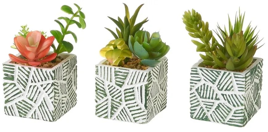 Plante artificiale 3 buc. (înălțime 12 cm) Cactus – Casa Selección