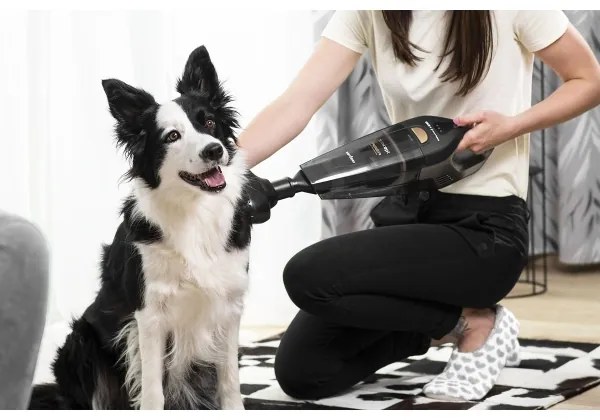 Concept VP4353 Aspirator manual WET & DRY RISER EXTENSION 110W/18,5V 2200 mAh ne