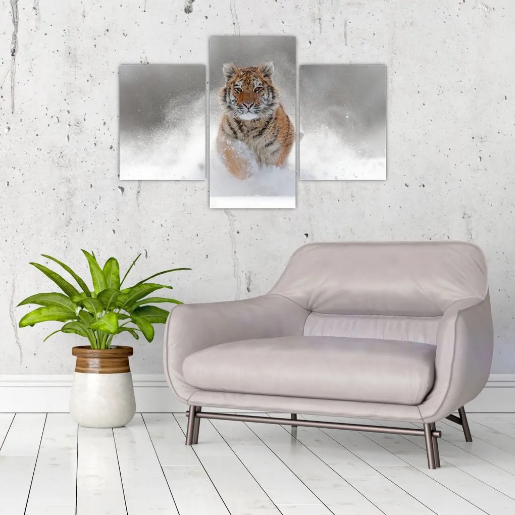 Tablou cutigru fugind prin zăpadă (90x60 cm)