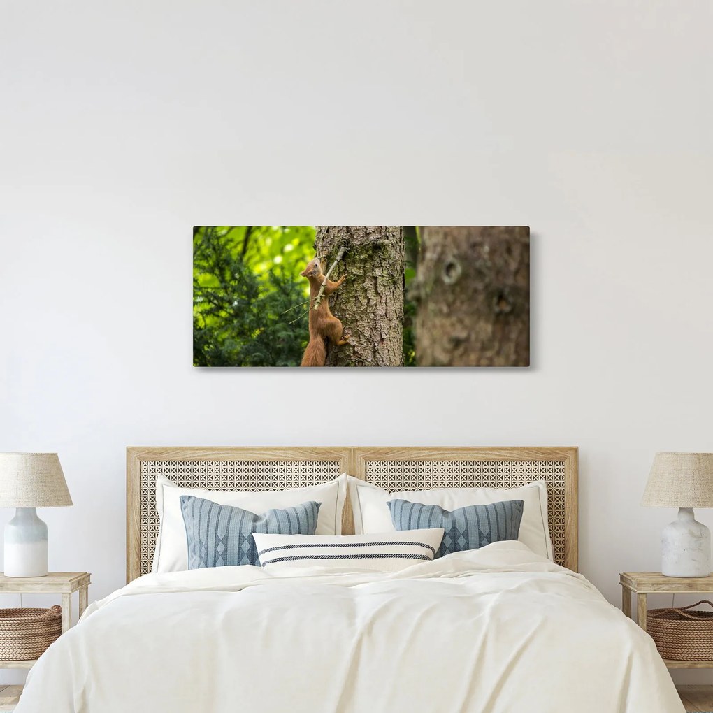 Tablou - Veverița (120x50 cm)