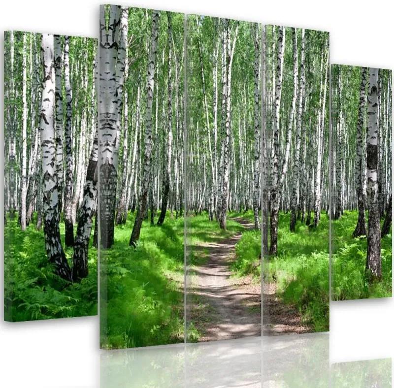 CARO Tablou pe pânză - Birch Forest 2 150x100 cm