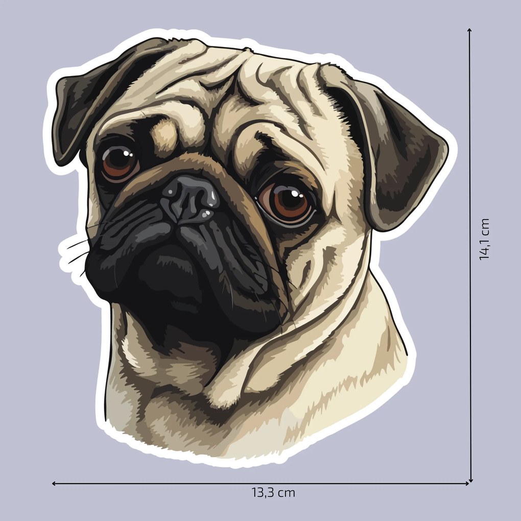 PIPPER. Autocolant Pug Dog mărimea: 60cm