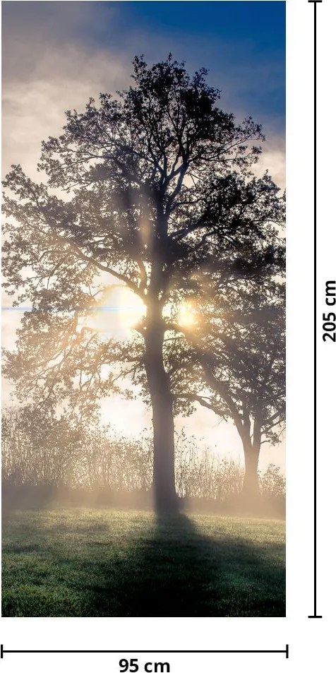 Fototapet pentru ușă - Copacul în ceață (95x205cm)