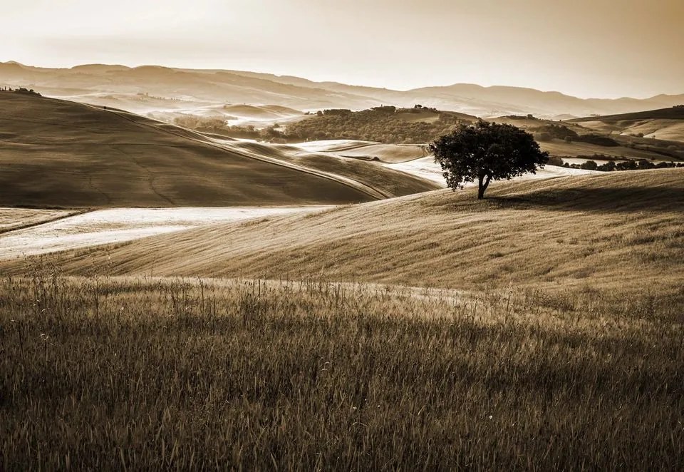 Fototapet - Dealuri Înverzite – Sepia