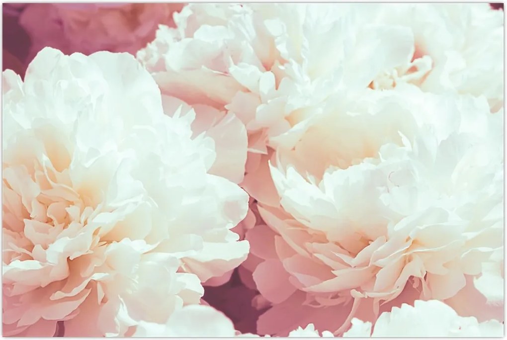 Tablou cu flori (90x60 cm)